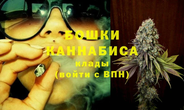 стаф Волосово
