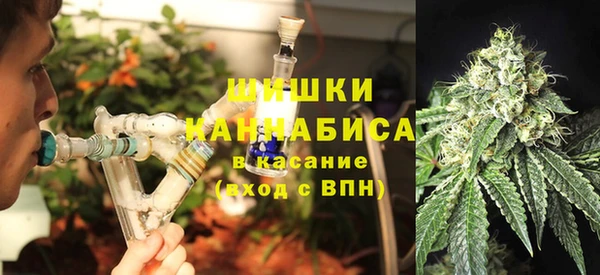прущие крисы Верея