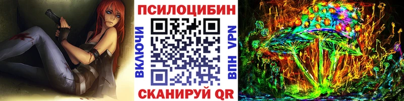 дарнет шоп  Иваново  Псилоцибиновые грибы мицелий 